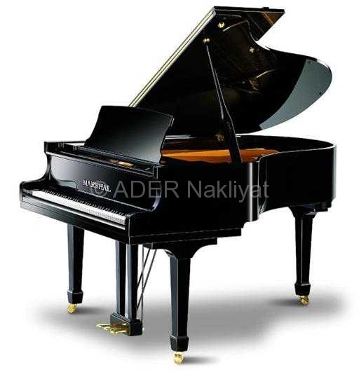 FO,3390,18,siyah-kuyruklu-piyano